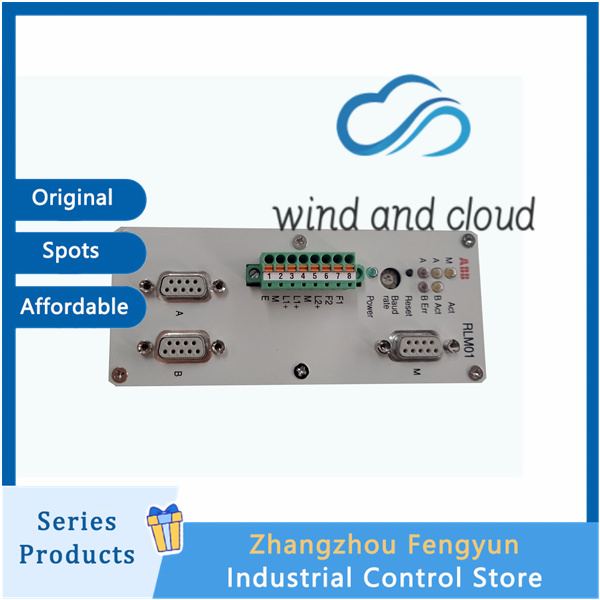 RLM013BDZ00398R1IMG (1)