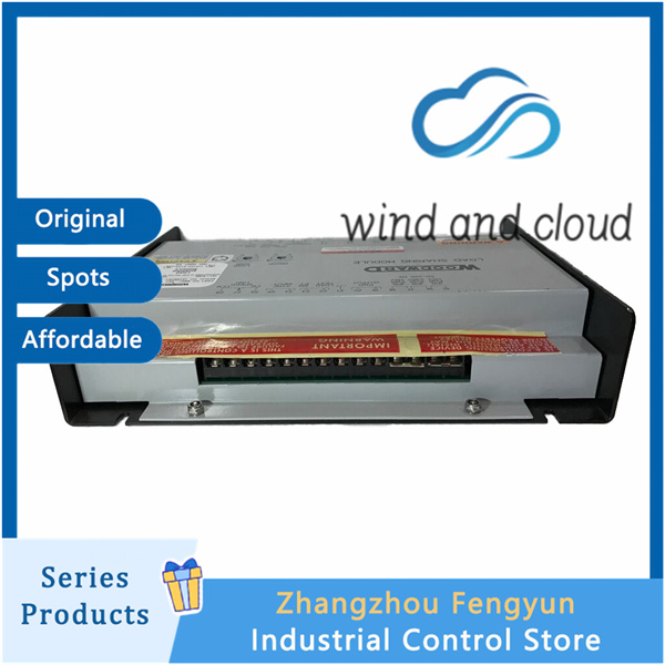 WOODWARD 9907-028｜Imported Servo｜illustration